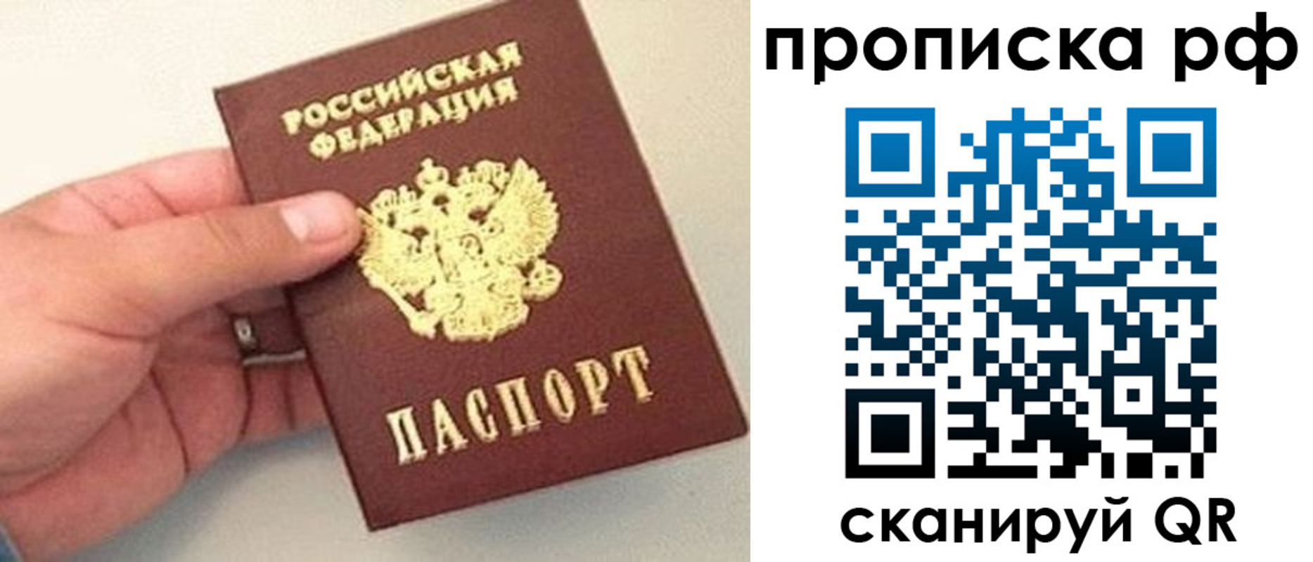 временная регистрация для всех в Опочке